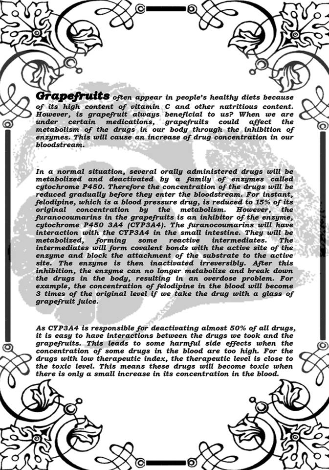 monthly column poster1